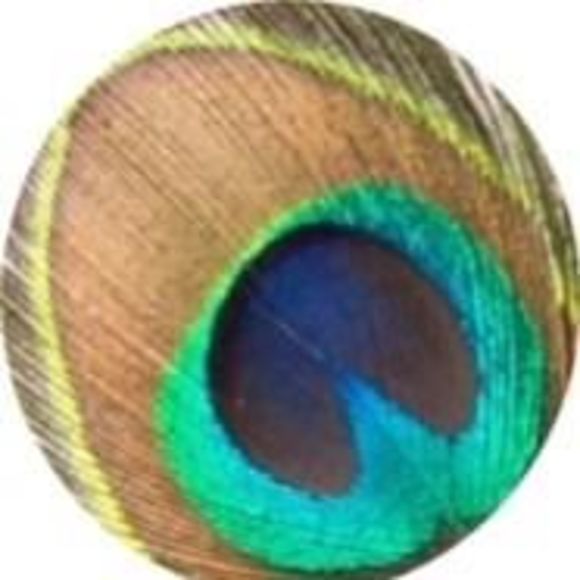 Meet your Posher, Bonnie - Picture 1 of 1